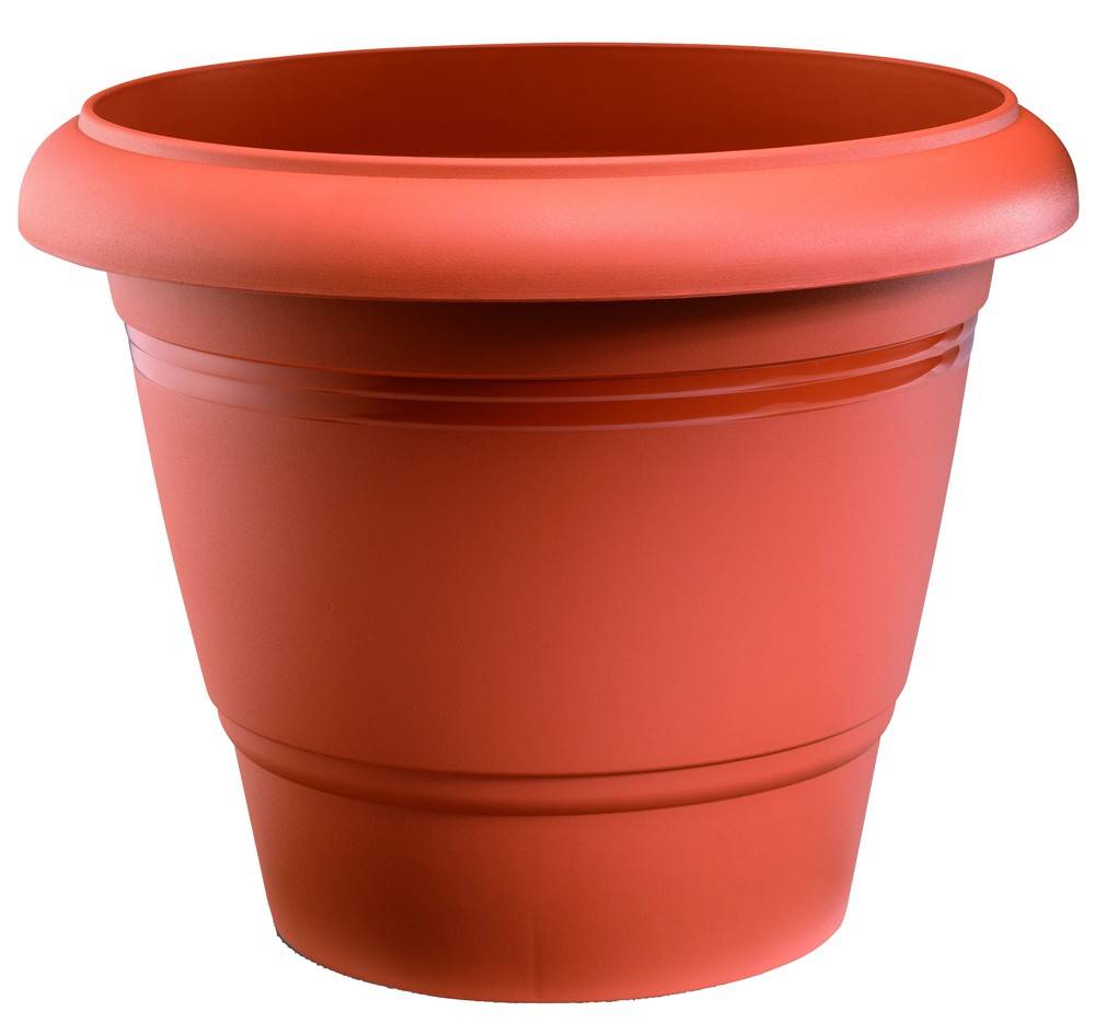 ΓΛΑΣΤΡΑ FESTONE ΤΕΡΑΚΟΤΑ (41X33 CM) PLASTONA