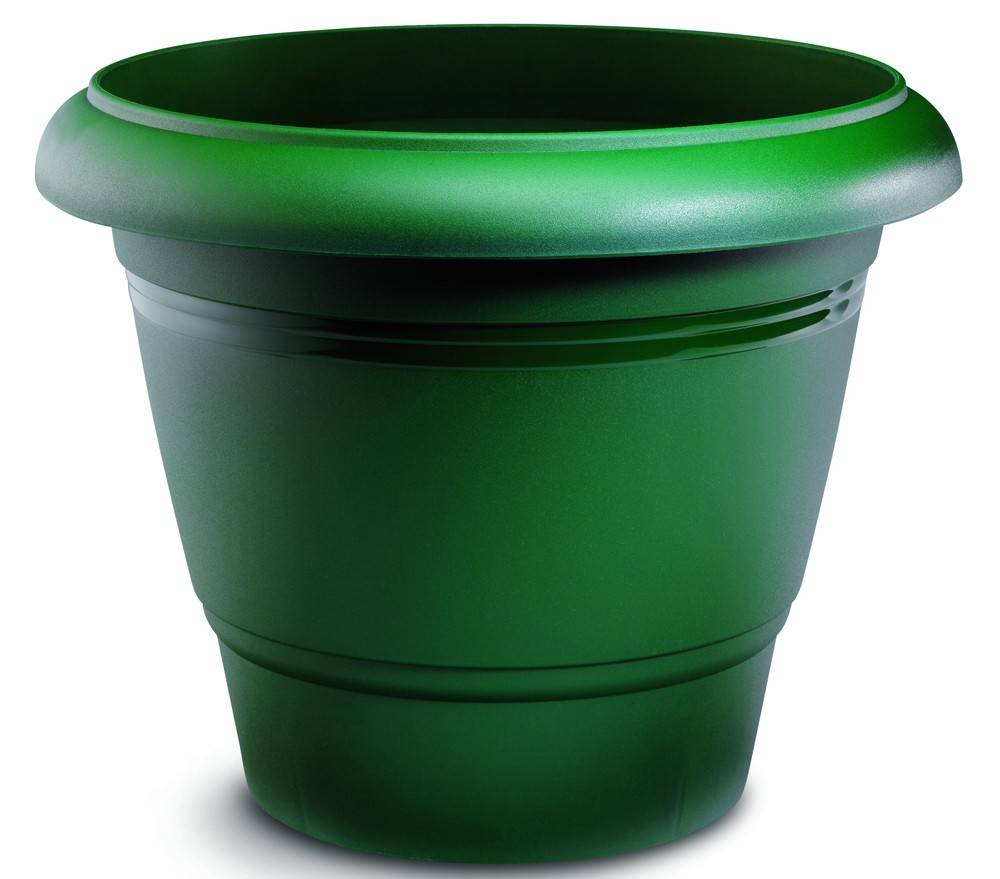 ΓΛΑΣΤΡΑ FESTONE ΠΡΑΣΙΝΗ (54X44 CM)