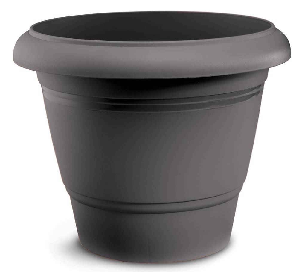 ΓΛΑΣΤΡΑ FESTONE ΑΝΘΡΑΚΙ (36X30 CM) PLASTONA