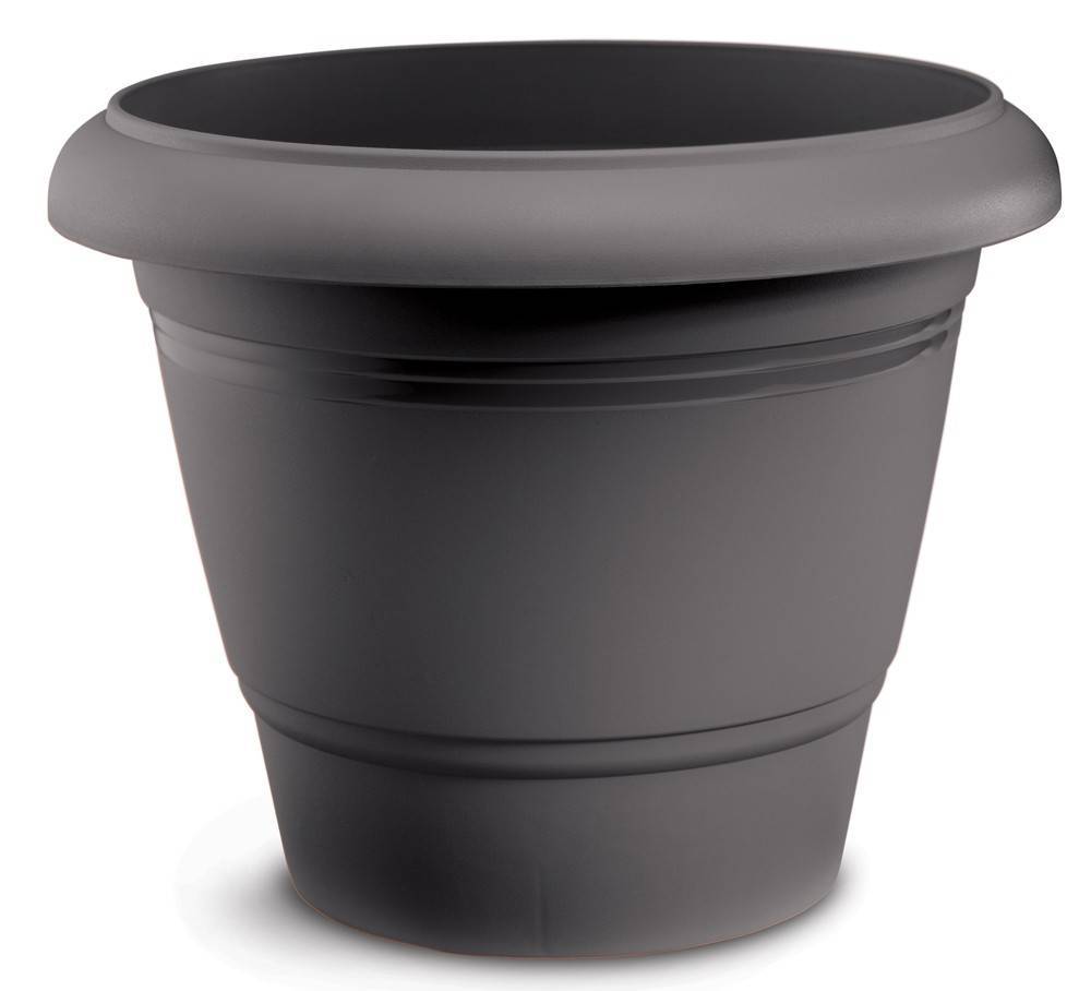 ΓΛΑΣΤΡΑ FESTONE ΑΝΘΡΑΚΙ (28X23 CM)