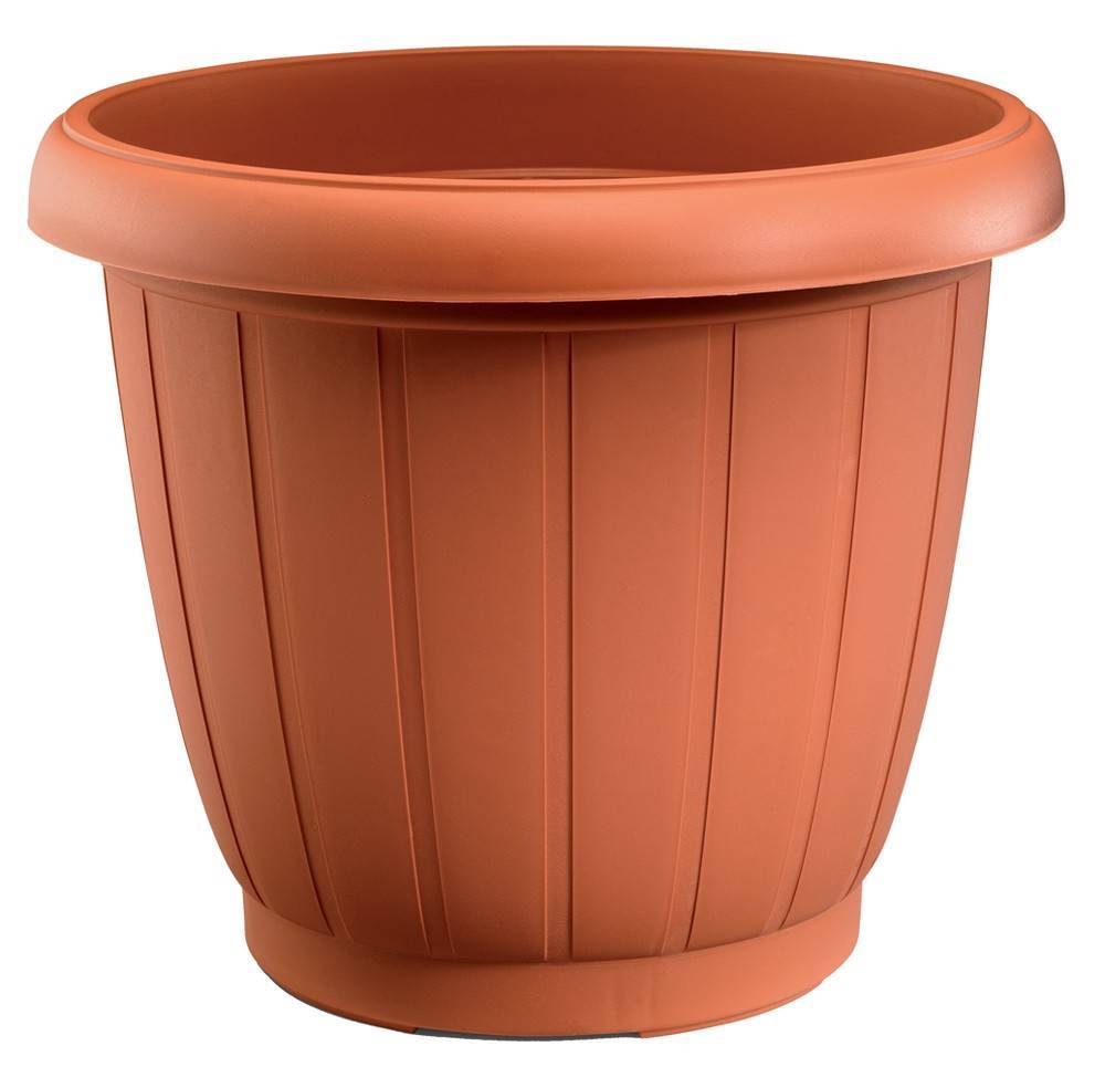 PLUS4U COLLECTION ΓΛΑΣΤΡΑ ΔΕΛΦΟΙ ΤΕΡΑΚΟΤΑ (37X31 CM)