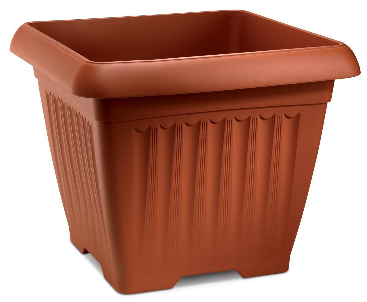 ΓΛΑΣΤΡΑ CORFU ΤΕΤΡΑΓΩΝΗ ΤΕΡΑΚΟΤΑ (50X50 CM) PLUS4U COLLECTION