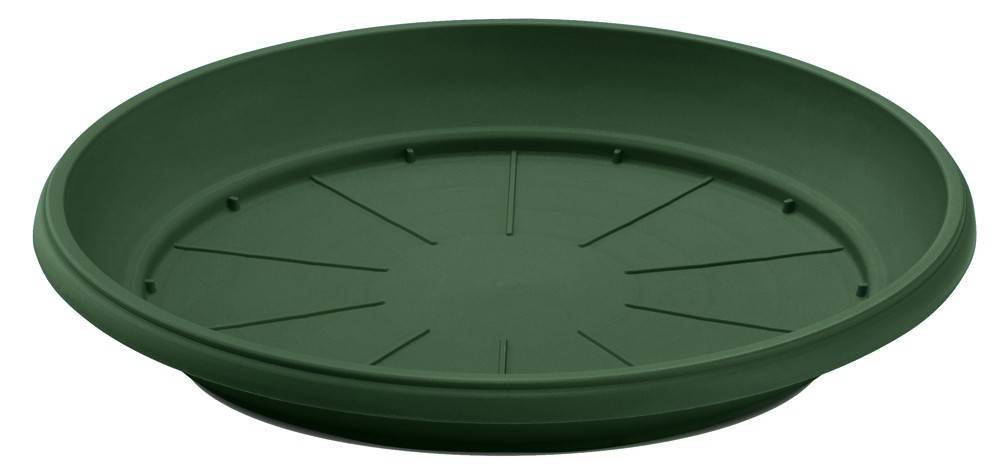 PLUS4U COLLECTION ΠΙΑΤΟ ΓΛΑΣΤΡΑΣ ΠΡΑΣΙΝΟ (23 CM)