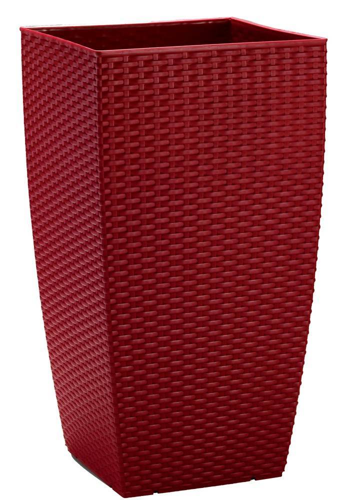 ΚΑΣΠΩ NATURA ΜΠΟΡΝΤΩ