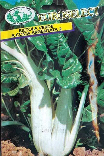 ΣΕΣΚΟΥΛΟ ARGENTATA AGROZA