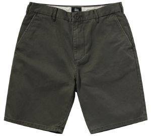 STUSSY  BROKEN SHORT  (36)