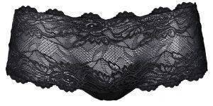 TRIUMPH FORBIDDEN LACE HIPSTER  (S)