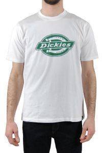 T-SHIRT DICKIES HS ONE COLOUR  (M)