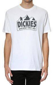 T-SHIRT DICKIES GRAYLING  (M)