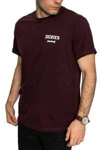 T-SHIRT DICKIES BOONE GROVE  (S)