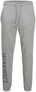   JACK & JONES JPSTGORDON JJXILOSWEAT 12212525   