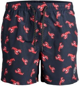  BOXER JACK & JONES JPSTFIJI JJSWIM AOP 12227247  