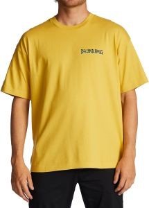 T-SHIRT BILLABONG HARMONY ABYZT01749 