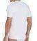  SLOGGI MEN COTTON T SH03 V-NECK 2P  (M)