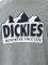 T-SHIRT DICKIES GRAYLING  