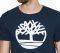 T-SHIRT TIMBERLAND BRAND PLUS CA1QX2433   (L)