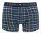  TOMMY HILFIGER TRUNK CHECK HIPSTER  /  2 (S)