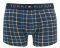  TOMMY HILFIGER TRUNK CHECK HIPSTER  /  2 (L)