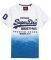 T-SHIRT SUPERDRY PREMIUM GOODS TROPICAL   / (M)