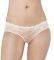  TRIUMPH TEMPTING LACE HIPSTER  (L)