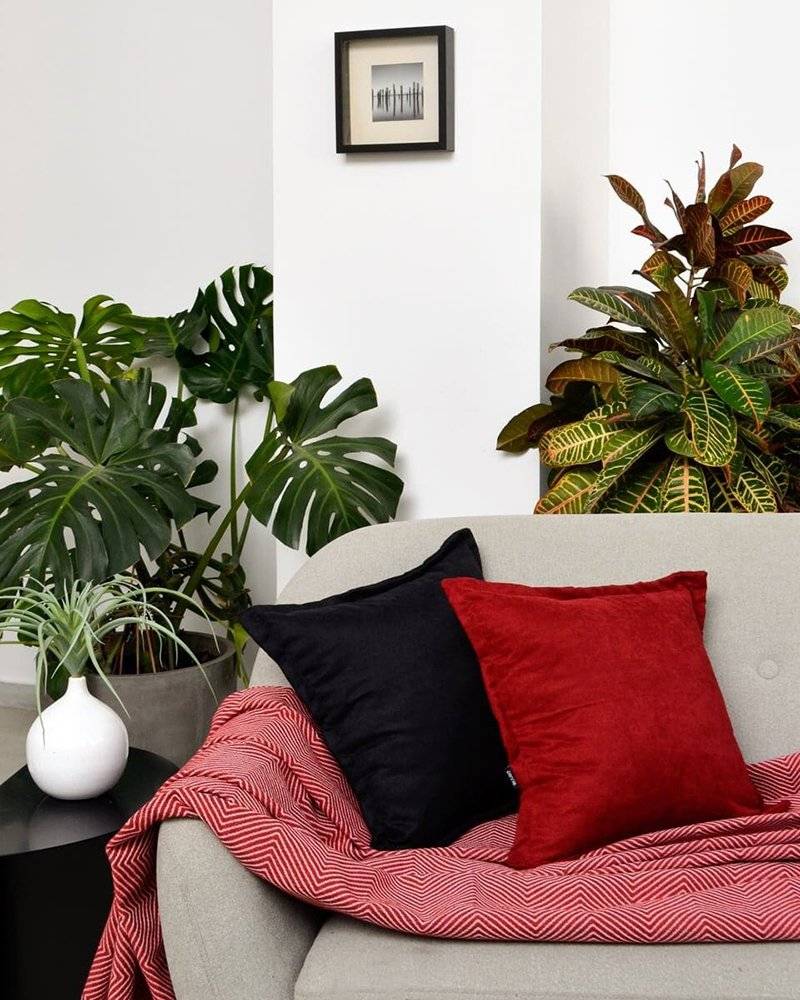 ΡΙΧΤΑΡΙ ΔΙΘΕΣΙΟ PENNIE CARTHEA ΜΕ ΨΑΡΟΚΟΚΚΑΛΟ (180Χ240CM) PENNIE