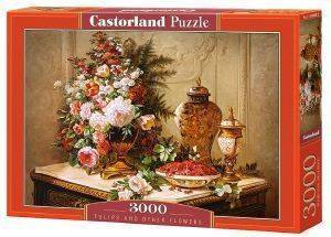 TULIPS AND OTHER FLOWERS CASTORLAND 3000 