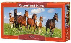 HORSE PARADISE CASTORLAND 600 