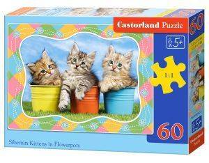SIBERIAN KITTENS IN FLOWERPOTS CASTORLAND 60 