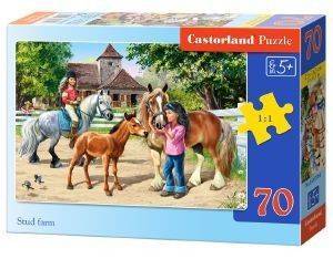 STUD FARM CASTORLAND 70 