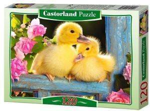 TWO DUCKLINGS CASTORLAND 120 