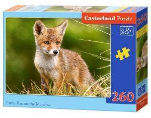 LITTLE FOX ON THE MEADOW CASTORLAND 260 