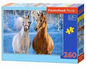 THE WINTER HORSES CASTORLAND 260 