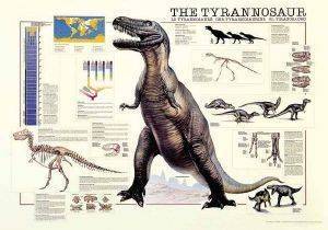 THE TYRANNOSAUR RICORDI 1000 