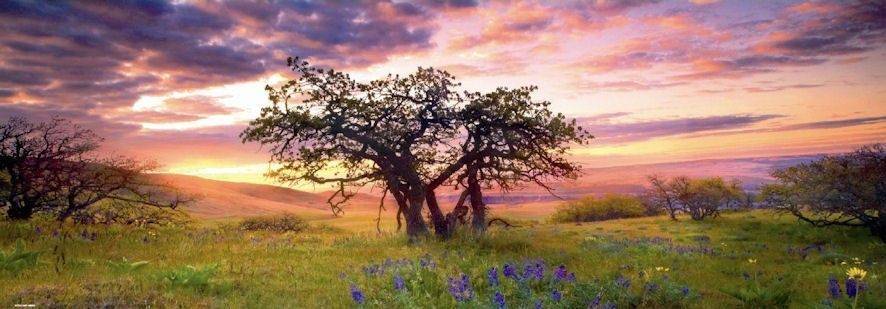 ΒΕΛΑΝΙΔΙΑ - 2000 ΚΟΜΜΑΤΙΑ (29472) HEYE