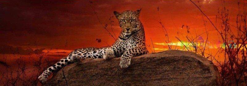 ALEX BERNASCONI RED DAWN HEYE 2000 ΚΟΜΜΑΤΙΑ (29608)