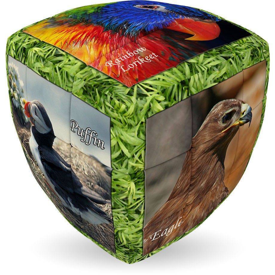 UNIQUE BIRDS V-CUBE WILDLIFE AND NATURAL PILLOW 2Χ2 V-CUBE