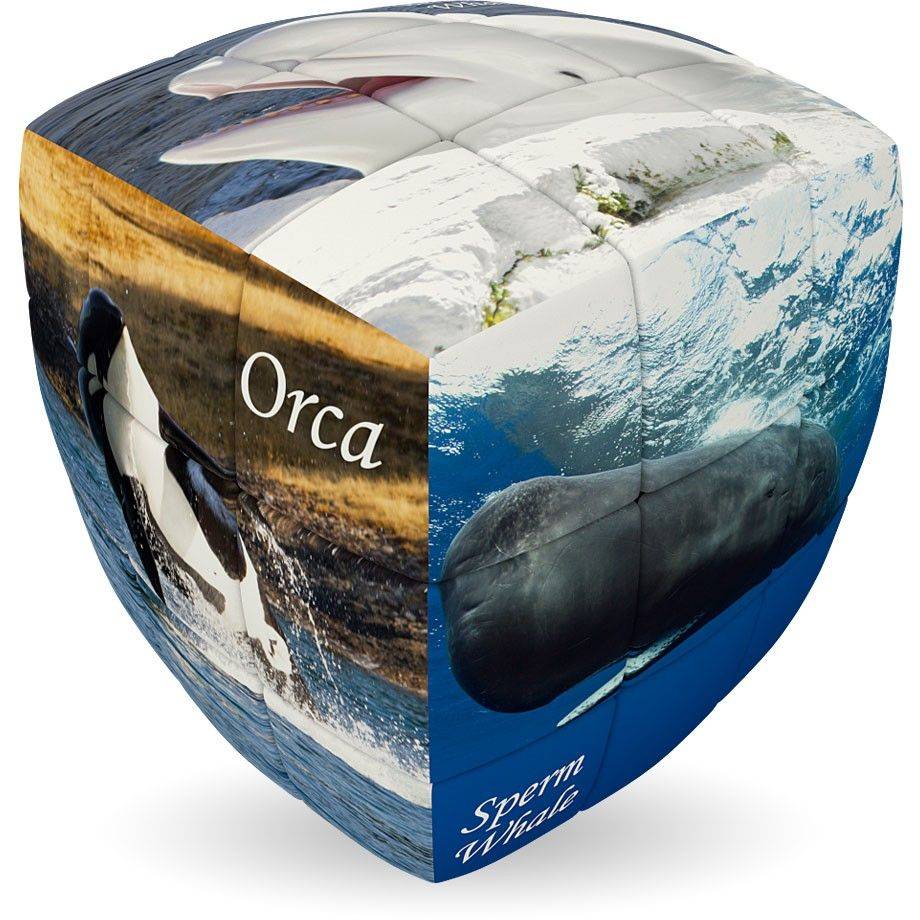 WALES V-CUBE WILDLIFE AND NATURAL PILLOW 2Χ2 V-CUBE