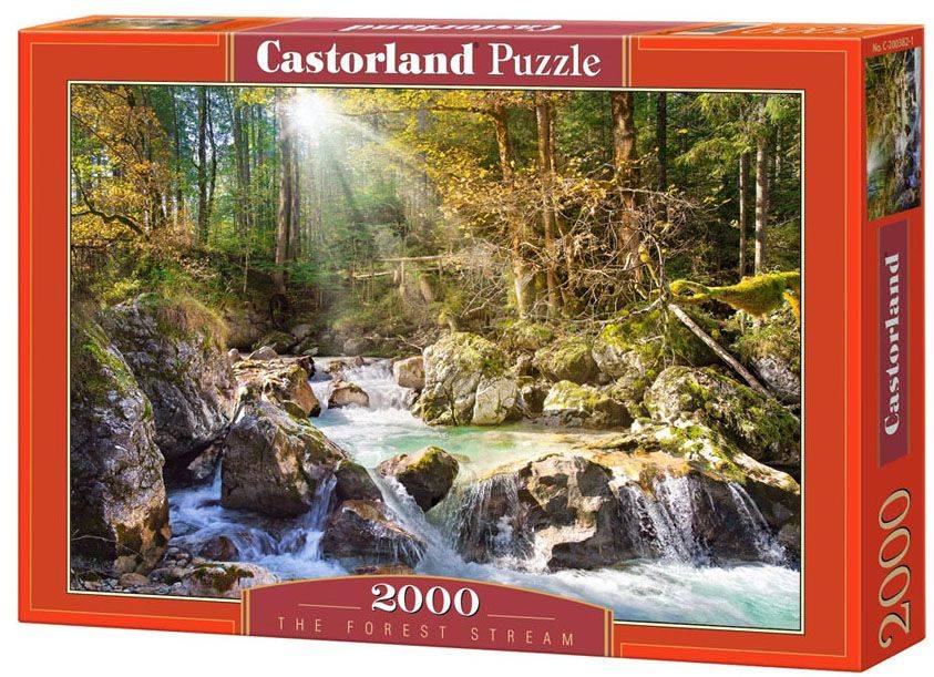 ΤΗΕ FOREST STREAM 2000 ΚΟΜΜΑΤΙΑ CASTORLAND