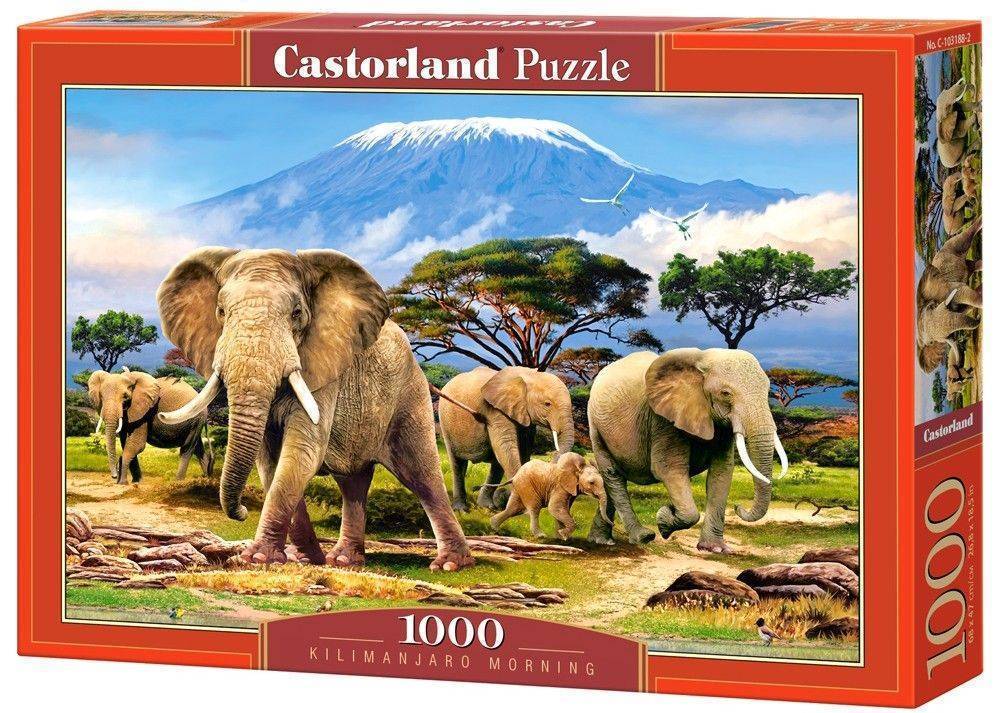 KILIMANJARO MORNING CASTORLAND 1000 ΚΟΜΜΑΤΙΑ CASTORLAND