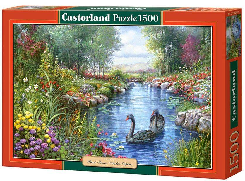 BLACK SWANS ANDRES ORPINAS CASTORLAND 1500 ΚΟΜΜΑΤΙΑ