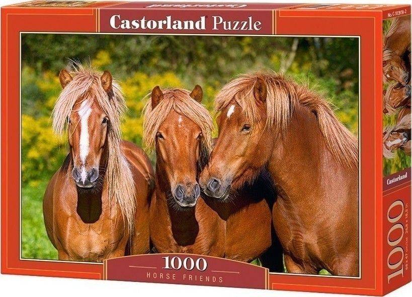 HORSE FRIENDS CASTORLAND 1000 ΚΟΜΜΑΤΙΑ CASTORLAND