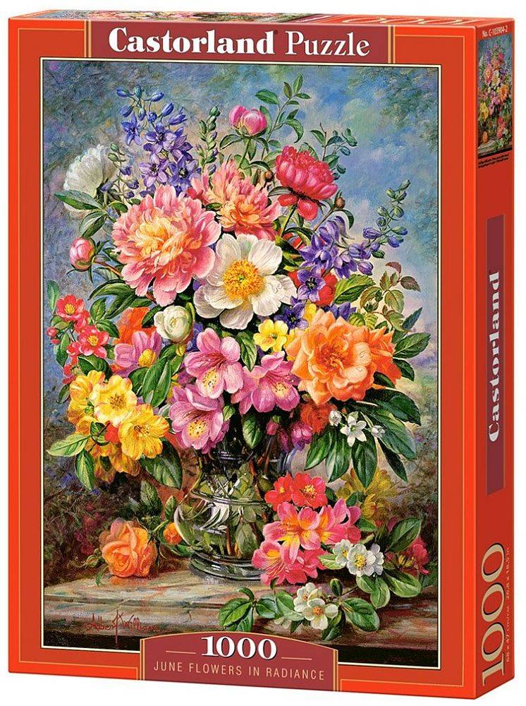 JUNE FLOWERS IN RADIANCE CASTORLAND 1000 ΚΟΜΜΑΤΙΑ
