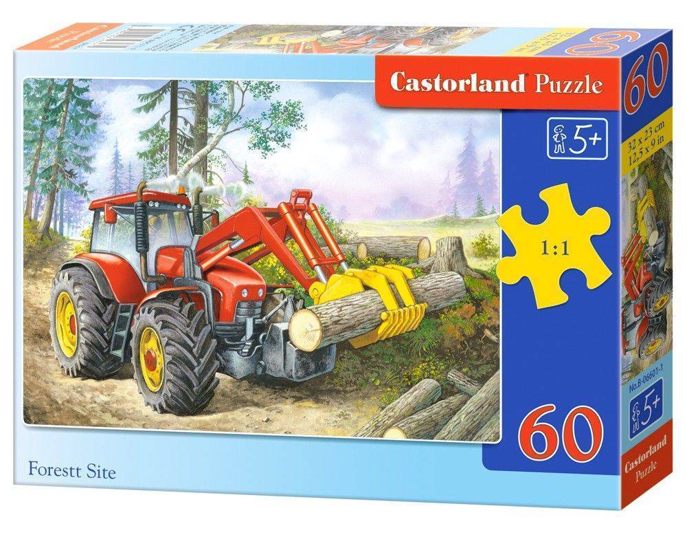FOREST SITE CASTORLAND 60 ΚΟΜΜΑΤΙΑ CASTORLAND
