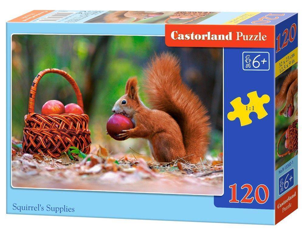 SQUIRRELS SUPPLIES CASTORLAND 120 ΚΟΜΜΑΤΙΑ