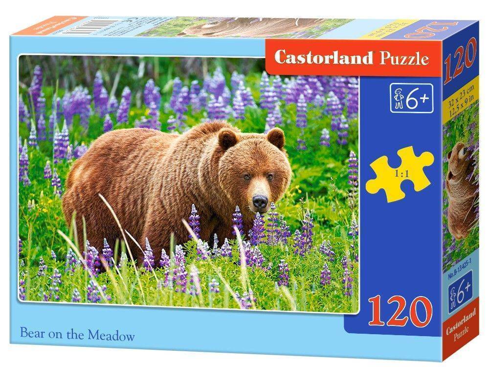 BEAR ON THE MEADOW CASTORLAND 120 ΚΟΜΜΑΤΙΑ CASTORLAND