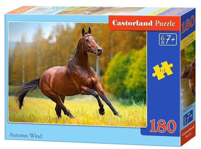 AUTUMN WIND CASTORLAND 180 ΚΟΜΜΑΤΙΑ CASTORLAND
