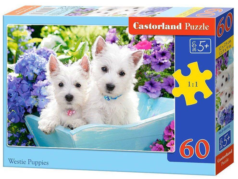 WESTIE PUPPIES CASTORLAND 60 ΚΟΜΜΑΤΙΑ
