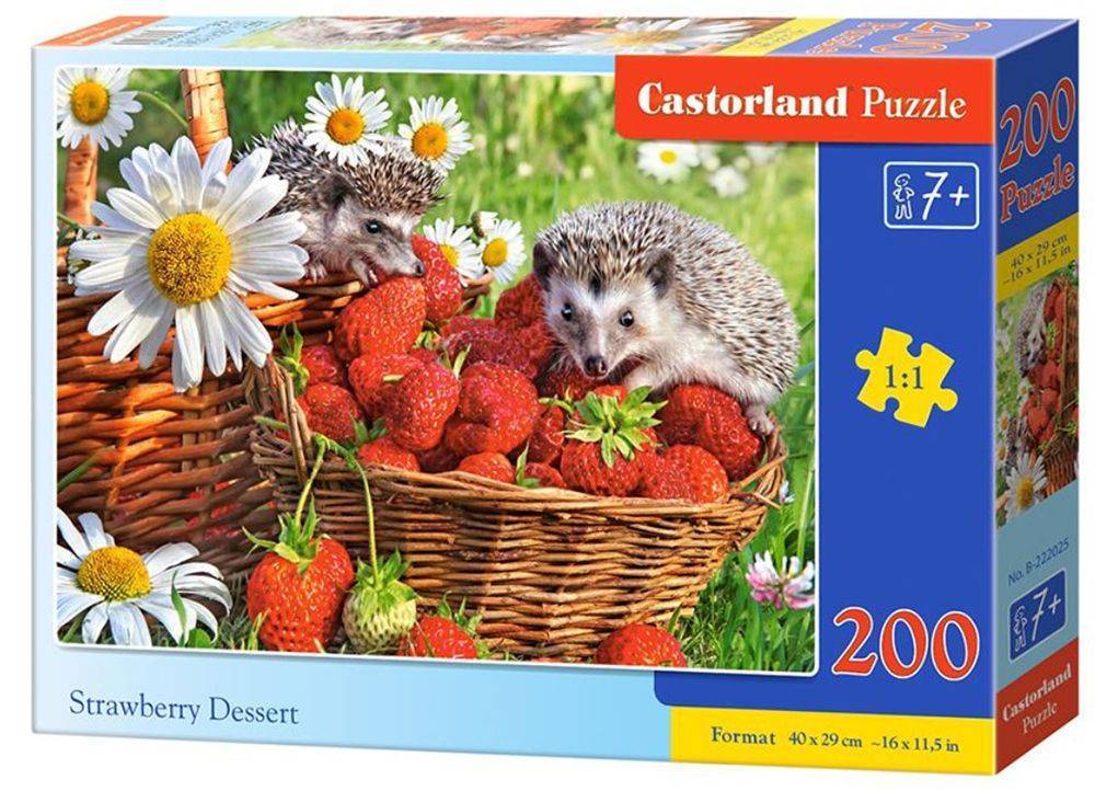STRAWBERRY DESSERT CASTORLAND 200 ΚΟΜΜΑΤΙΑ CASTORLAND
