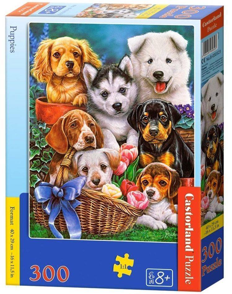 PUPPIES CASTORLAND 300 ΚΟΜΜΑΤΙΑ CASTORLAND