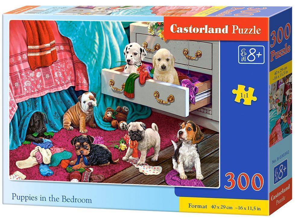 PUPPIES IN THE BEDROOM CASTORLAND 300 ΚΟΜΜΑΤΙΑ